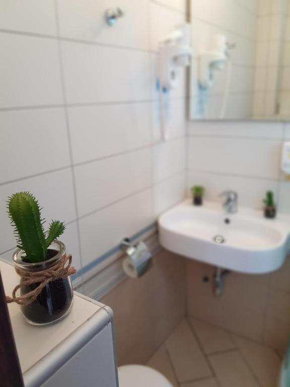 Penzión pre hostí Sunce